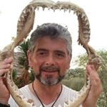 Profile Picture of Hervé Michel Auteur (@hervemichelauteur) on Instagram