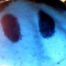 Profile Picture of Hal Thompson (@hal.thompson.5811) on Facebook