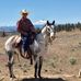 Profile Picture of Dave Cooley (@dave.cooley.56027) on Facebook