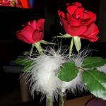 Profile Picture of sonia leardi (@sonialeardi) on Instagram