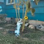 Profile Picture of Vick Gibson (@vick.gibson.2025) on Facebook