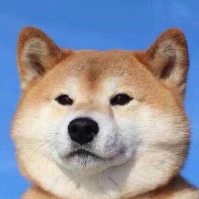 Profile Picture of Caesar White (@CaesarWhite1) on Twitter