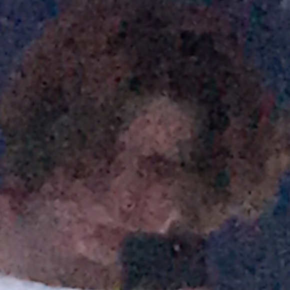 Profile Picture of Ethan Allgaier (@ethanallgaier) on Poshmark