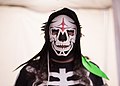 Profile Photo of La Parka (wrestler)on Wikipedia