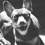 Shawn Gray - Facebook Profile Picture of Shawn Gray (@shawn.gray.677669) on Facebook