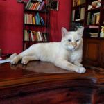 Profile Picture of Fernando de Juan Sánchez (@fernandodejuansanchez) on Instagram