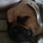 Profile Picture of Colton (@1hopecol) on Instagram