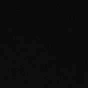 Profile Picture of Alaina Irving (@alainairving6243) on Youtube