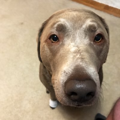 Profile Picture of Derek L. Hays (@Geziah) on Twitter