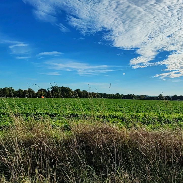 Profile Picture of Thomas Kraft (@thomaskraft5) on Tiktok