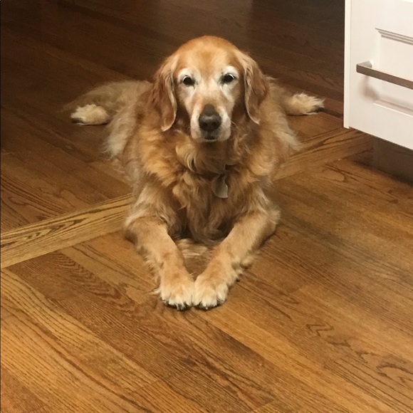 Profile Picture of Barbara Walsh (@awalsh913) on Poshmark