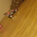 Profile Picture of Peter Markovich (@peter.markovich.125) on Facebook