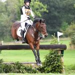 Profile Picture of emily (@emilyv.eventing) on Instagram