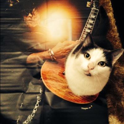 Profile Picture of Misty Mackenzie (@phoenixfusion14) on Twitter