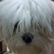 Profile Picture of Graciela Lugo (@1gralu) on Youtube