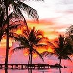 Profile Picture of Steven Walton (@stevie_g3) on Instagram