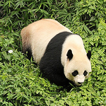 Profile Picture of Austin Walker (@austinwalk3r) on Flickr