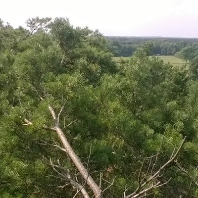 Profile Picture of Daniel Smoliński (@danielsmoliski2) on Twitter