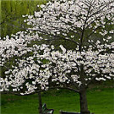 Profile Picture of Thomas Pleasant (@thomasPleasant5) on Twitter