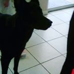 Profile Picture of bryanna neeley (@bryanna.neeley) on Instagram