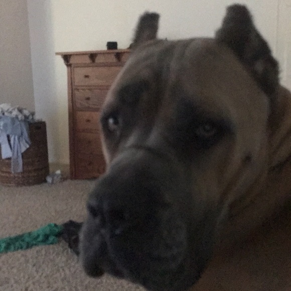 Profile Picture of Dow Jones (@permacap) on Poshmark