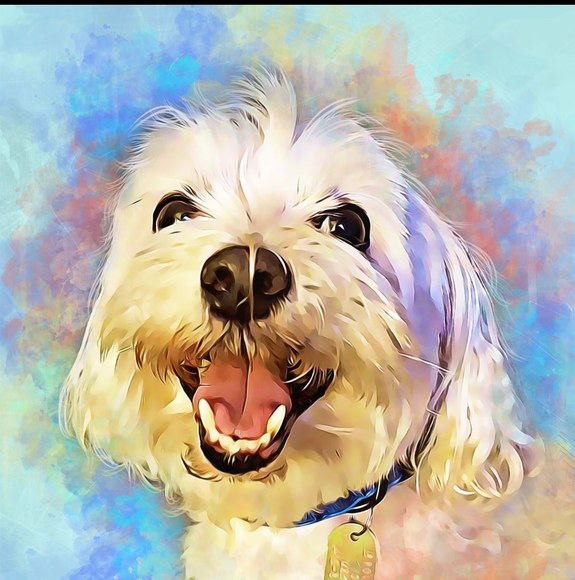 Cathy Sawchak - Poshmark Profile Picture of Cathy Sawchak (@mightytrex) on Poshmark