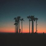 Profile Picture of JESUS LIMA (@lilmingo._) on Instagram