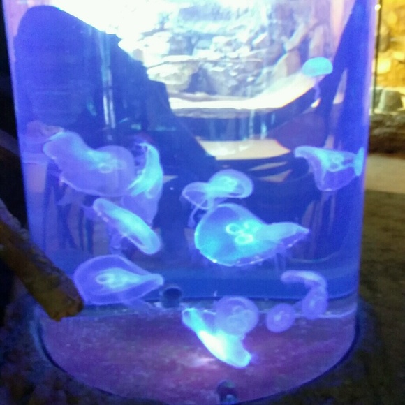 Profile Picture of Cedric Broussard (@cedbroussard) on Poshmark