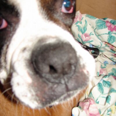 Clint - Twitter Profile Picture of Clint (@laws497) on Twitter