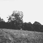 Profile Picture of joseph phillips (@joey._.phillips) on Instagram