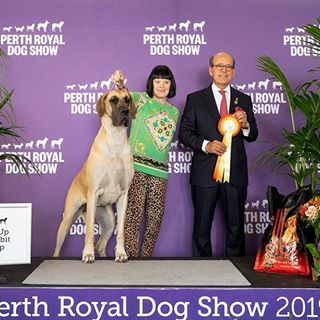 Profile Picture of Lynette Booth (@rorlyndanes) on Facebook