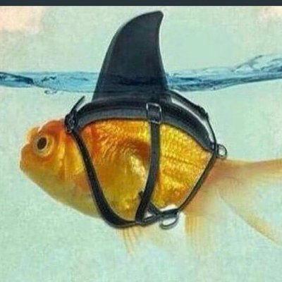 Profile Picture of ANTONIO GRANILLO (@JOSE_A_GRANILLO) on Twitter