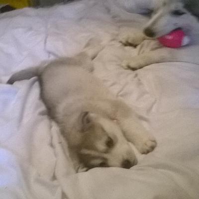 Hhjhuyhgtgg - Twitter Profile Picture of Hhjhuyhgtgg (@baileyhance) on Twitter