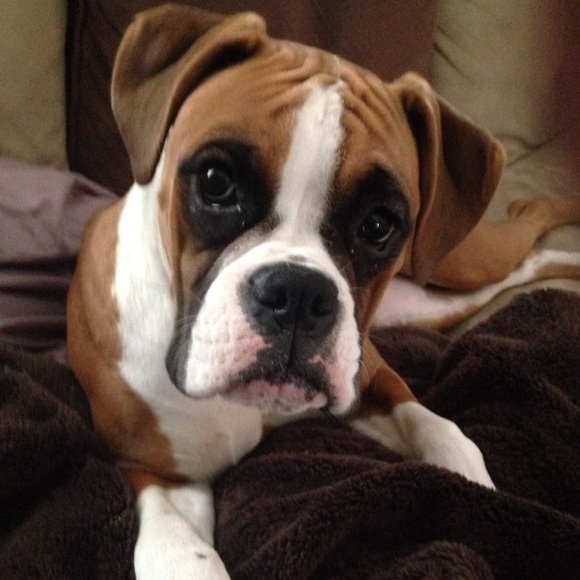 Profile Picture of Carly Burkdoll (@carly2305) on Poshmark