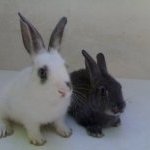 Profile Picture of Travis Ringhofer (@travis_ringhofer) on Instagram