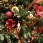 Profile Picture of Sheryl Harden (@sheryl_harden) on Instagram