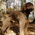 Profile Picture of Paul Wellborn (@paulwellborn) on Instagram