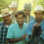 Profile Picture of Mario Saenz (@saenzm1958) on Instagram