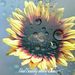 Profile Picture of Tracey Cockrell Bryant (@traceyb1967) on Pinterest