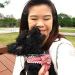 Profile Picture of Yvette Lin (@iyvettelin) on Instagram