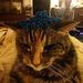 Profile Picture of Brendan McGloin (@brendanmcgloin) on Pinterest