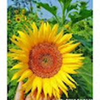 Profile Picture of Tahmina Alam (@tahmina-alam-24) on Quora