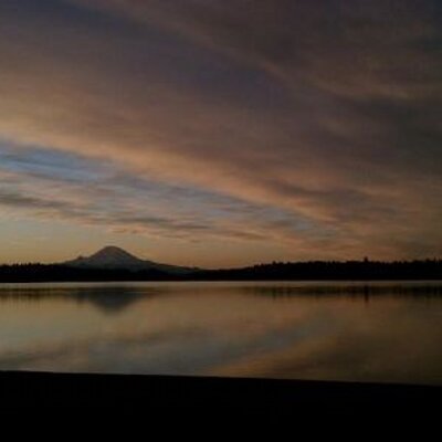 Profile Picture of Heather Williams (@williamslynh) on Twitter