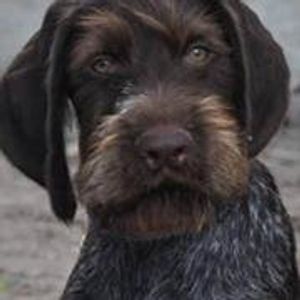 Profile Picture of Eric Liedtke (@eric.liedtke.14) on Myspace