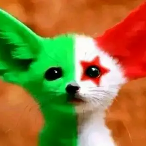 Profile Picture of تيم الأفناك (@labbaci03) on Tiktok