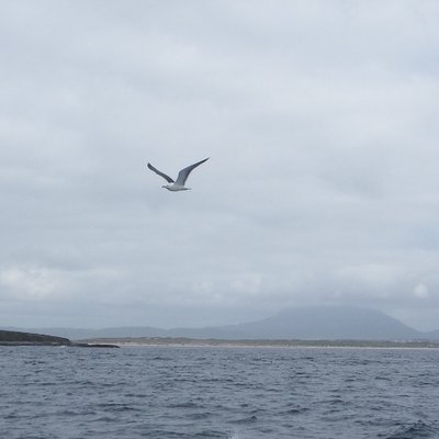 Profile Picture of Kate Phelan (@CultureDonegal) on Twitter