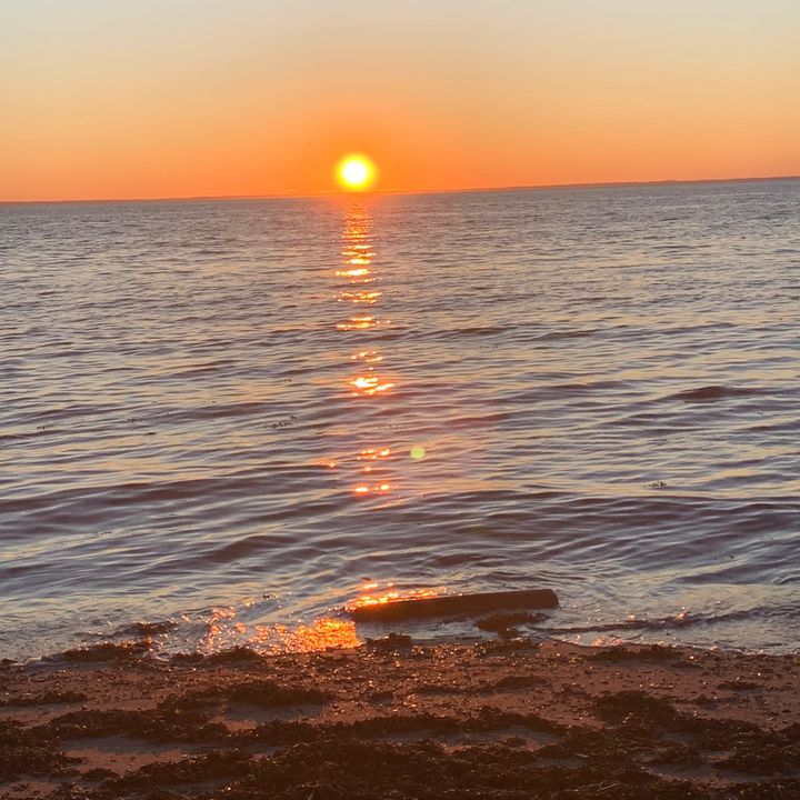 Profile Picture of Emma Michaud (@emma.michaud44) on Tiktok
