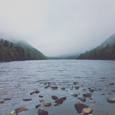 Profile Picture of Richard McGowan (@Richard03677938) on Twitter