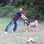 Profile Picture of Bobby Hawthorn (@438641449) on Myspace