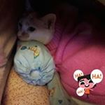 Profile Picture of Eileen Wong (@eileen5913) on Instagram